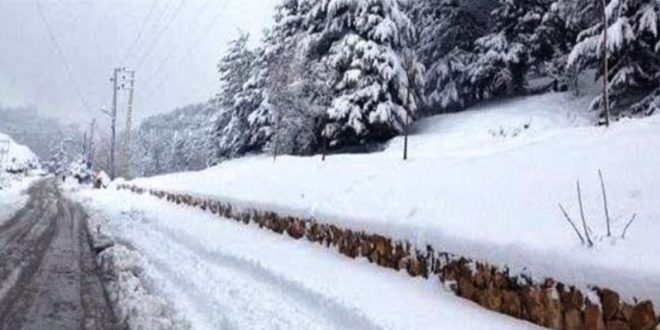 leb snow