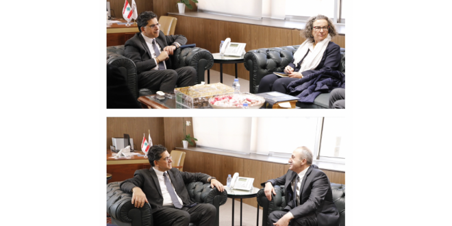 مرقص منظمات دولية