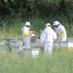 725ae838-eece-4945-9f62-ef88e4773697