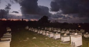 bcfa5d71-c73c-4358-940f-1c4c478c25a7