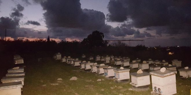 bcfa5d71-c73c-4358-940f-1c4c478c25a7