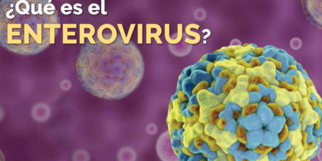 enterovirus-1463678555984