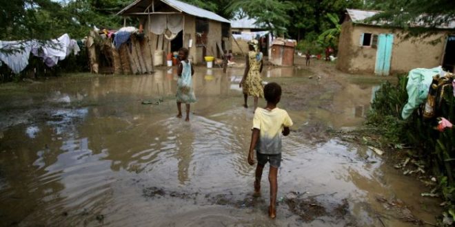 cholera in yemen000