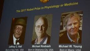 Nobel