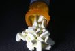 opioid-pills