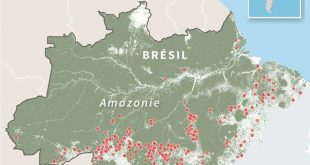 Bresil incendies