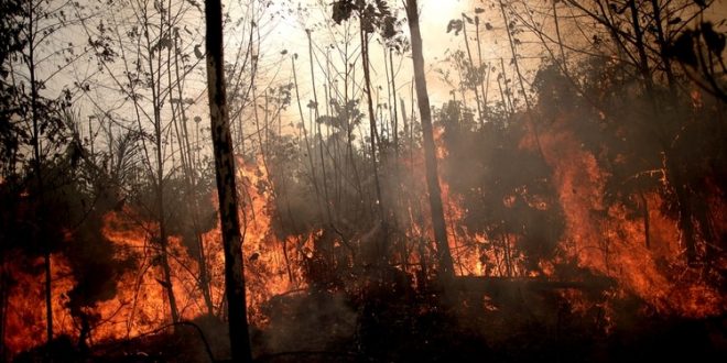 incendio-amazonia-1