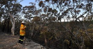 les incendies Australie