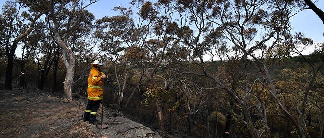 les incendies Australie