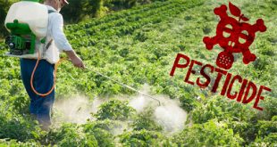 pesticides