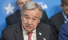 UN CHIEF