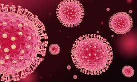 coronavirus11