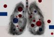 lungs