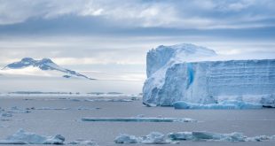 ross ice shelf